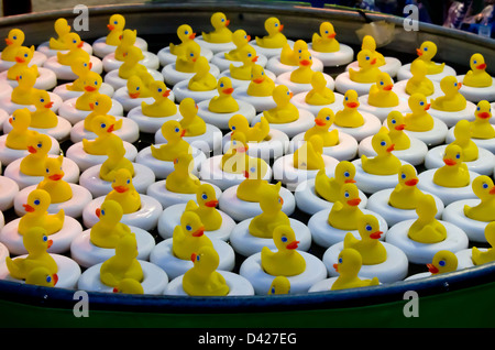 Gelbe Enten schwimmen in einem Karneval Spiel an der Bangor State Fair. Stockfoto