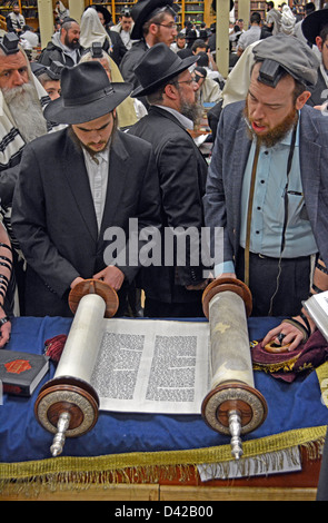 Thora lesen während Wochentag Morgengebet auf eine Synagoge in Brooklyn, New York Stockfoto