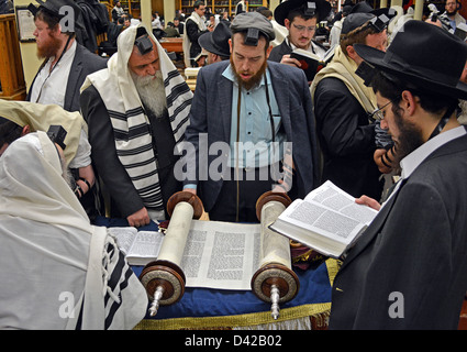 Thora lesen während Wochentag Morgengebet Lubawitsch Hauptquartier in Brooklyn, New York Stockfoto