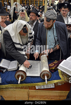 Ein Segen vor Thora lesen während Wochentag Morgengebet auf eine Synagoge in Brooklyn, New York Stockfoto