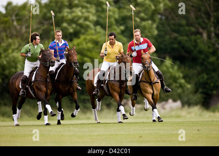 Polospieler zu Pferd, Rivalität Stockfoto