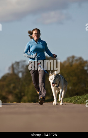 Weibliche Jogger Ausübung husky Hund im park Stockfoto