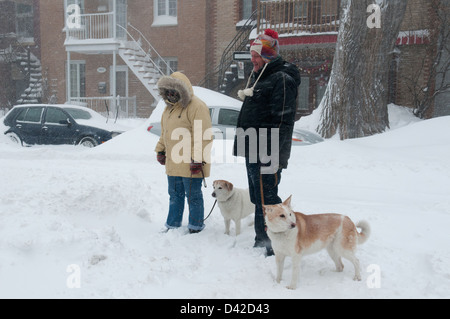 Menschen in einem Schneesturm Spaziergang mit seinem Hund Montreal Stockfoto