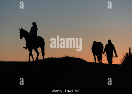 Oberoderwitz, Deutschland, Silhouette, Frauen und Pferde auf der Weide in der Abenddämmerung Stockfoto