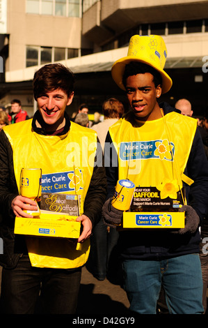 Marie Curie, Cancer Care Charity. Die große Anziehungskraft der Narzissen. Stockfoto