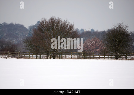 BISHOPS STORTFORD HERTFORDSHIRE SCHNEEFELD. VEREINIGTES KÖNIGREICH. Stockfoto