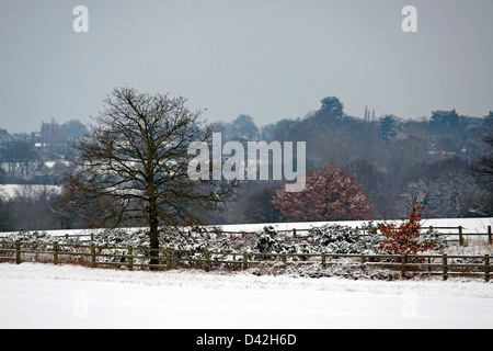 BISHOPS STORTFORD HERTFORDSHIRE SCHNEEFELD. VEREINIGTES KÖNIGREICH. Stockfoto