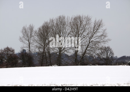 BISHOPS STORTFORD HERTFORDSHIRE SCHNEEFELD. VEREINIGTES KÖNIGREICH. Stockfoto