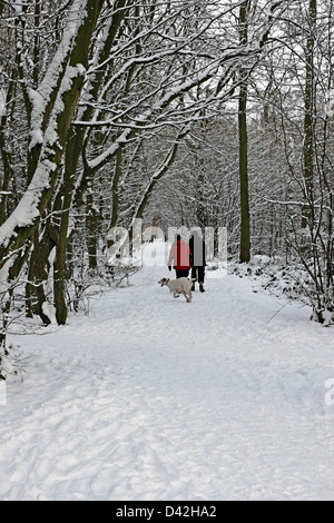 WANDERER AUF EINEM SCHNEEBEDECKTEN WALDWEG IM WINTER. Stockfoto