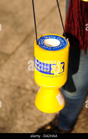 Marie Curie, Cancer Care Charity. Die große Anziehungskraft der Narzissen. Stockfoto