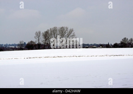 WINTERLANDSCHAFT BISHOP'S STORTFORD HERTFORDSHIRE Stockfoto