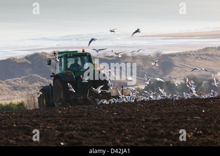 Frühling bei Feldern mit Blick auf Lunan Bay pflügen. Montrose. East Coast Schottland, Vereinigtes Königreich Stockfoto