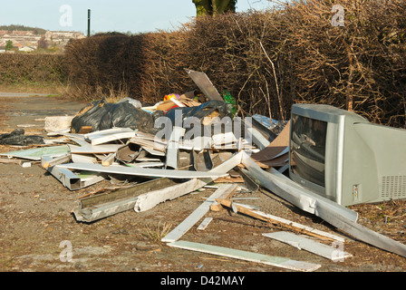 Fliege gekippt Hausmüll in einer grünen Gasse / Maultierweg, South Yorkshire, England. Stockfoto