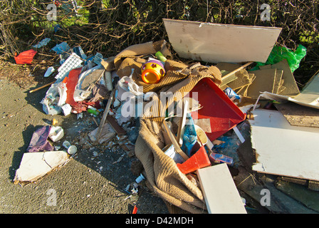 Fliege gekippt Hausmüll in einer grünen Gasse / Maultierweg, South Yorkshire, England. Stockfoto