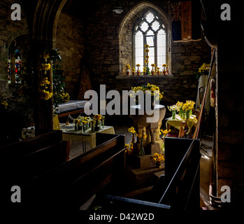 Das Narzissenfest im St Mawgan-in-Meneage Kirche in Cornwall. Stockfoto