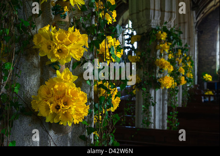 Das Narzissenfest im St Mawgan-in-Meneage Kirche in Cornwall. Stockfoto