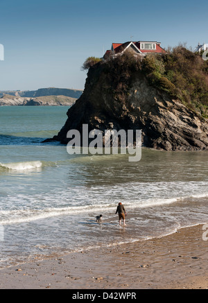 Eine Dogwalker auf Towan Beach in Newquay. Stockfoto