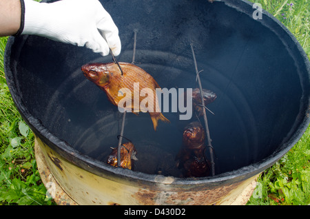 Hand in weißen Handschuhen halten frisch geräuchert Schleie Fisch in der Nähe von Räucherei von rostigen Fass gemacht. Stockfoto