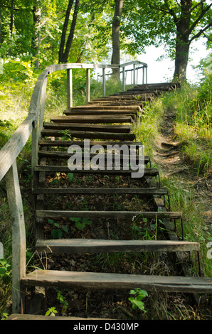 alte Holztreppe führt in die Berge im park Stockfoto