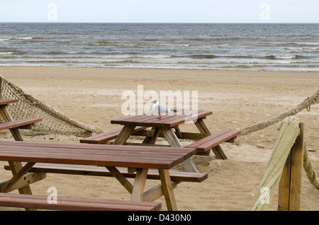Holztische und Bänke am Ocean Beach und Möwe Möwe. Stockfoto