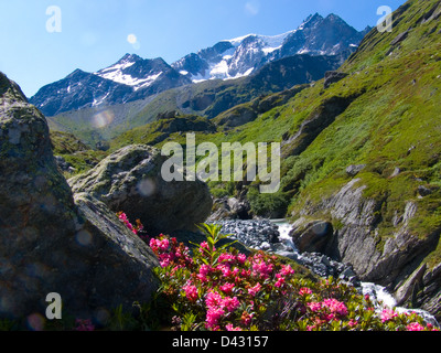 Les Chalets d'amont, Valsorey; Valais, suisse Stockfoto