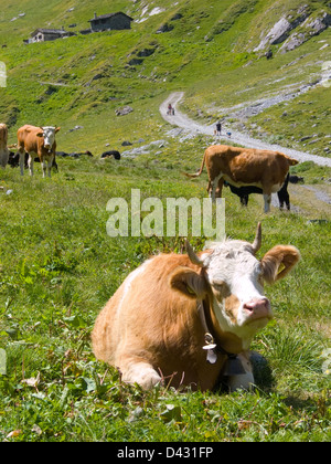 Combe de l ' a, Liddes, Valais, suisse Stockfoto