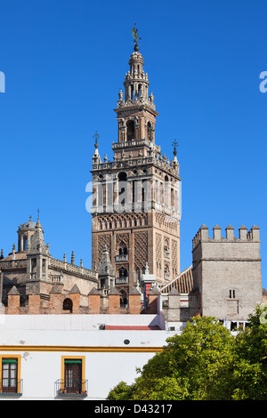 La Giralda, Glockenturm der Kathedrale von Sevilla in Spanien, Teil der Real Alcazar auf dem ersten Plan. Stockfoto