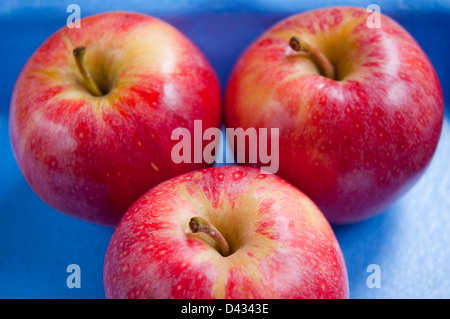 Drei rote Äpfel. Schließen Sie die Ansicht. Stockfoto