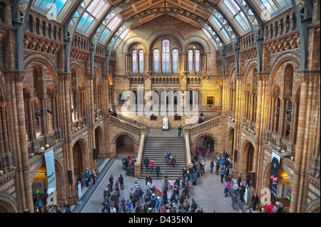 Haupthalle im Natural History Museum, South Kensington, London, Vereinigtes Königreich Stockfoto