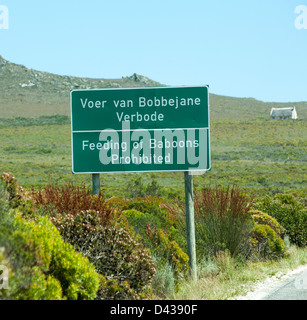 Fütterung der Paviane verboten Schild am Straßenrand Western Cape Südafrika Tierwelt Hinweis Schilder Stockfoto