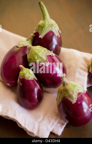 Mehrere indische Auberginen. Stockfoto