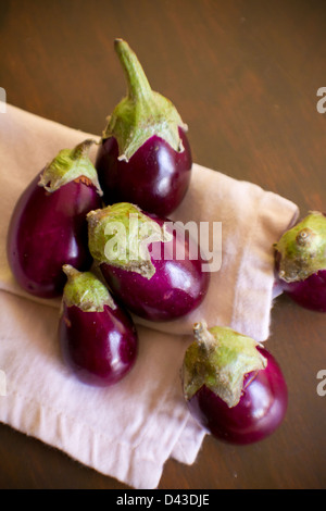 Mehrere indische Auberginen. Stockfoto