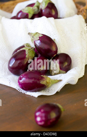 Mehrere indische Auberginen. Stockfoto