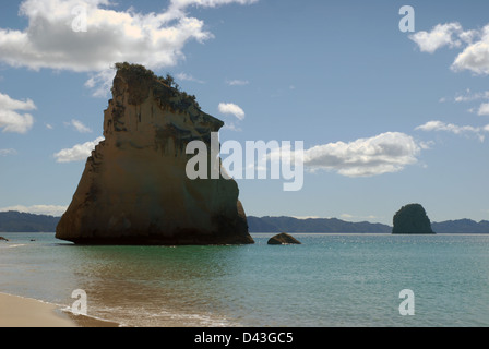 Cathedral Rock, Strand, Coromandel, Nordinsel, Neuseeland. Stockfoto