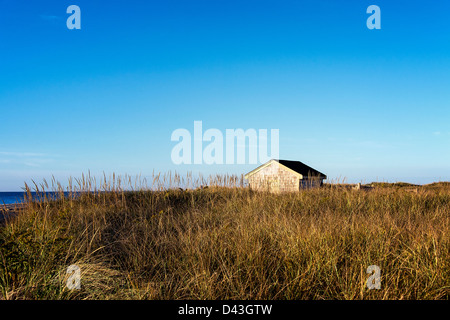 Abgelegener Strand Shack, Martha's Vineyard, Massachusetts, USA Stockfoto