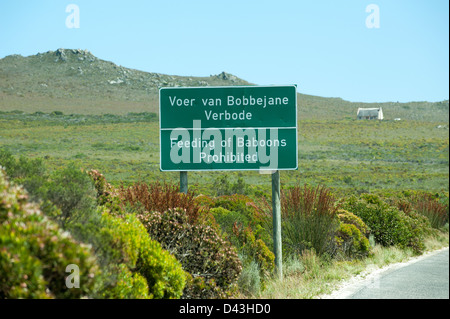 Fütterung der Paviane verboten Schild am Straßenrand Western Cape Südafrika Tierwelt Hinweis Schilder Stockfoto