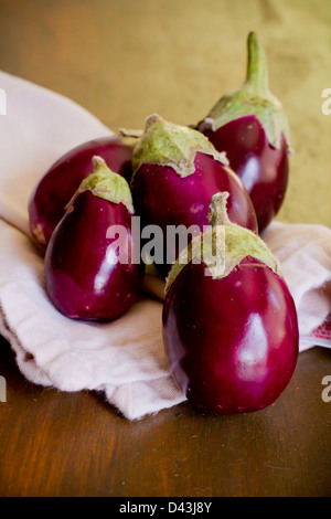 Mehrere indische Auberginen. Stockfoto