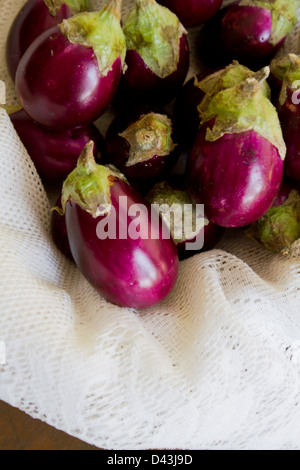 Mehrere indische Auberginen. Stockfoto