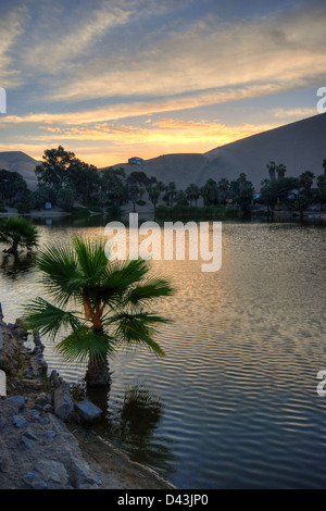 Eine Palme wächst am Rande der Oase Huacachina Peru bei Sonnenuntergang Stockfoto