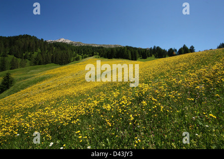 Val Badia Berg, Gadertal, Südtirol Stockfoto