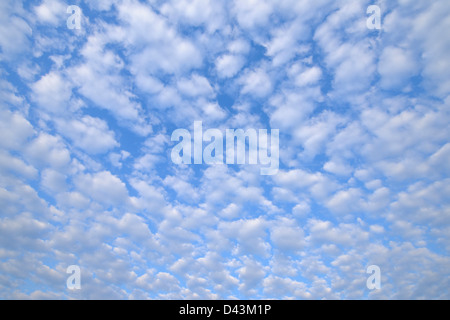Wolken, Gunzenhausen, Weißenburg-Gunzenhausen, Bayern, Deutschland Stockfoto