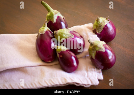 Mehrere indische Auberginen. Stockfoto