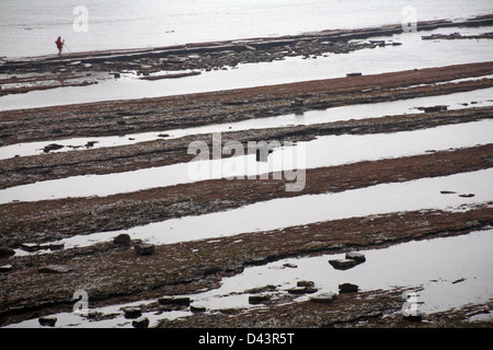 Fotograf mit Stativ auf Felsenleisten an Kimmeridge im Februar Stockfoto