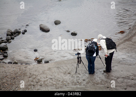 zwei weibliche Fotografen mit Stativen auf Felsenleisten an Kimmeridge im Februar Stockfoto