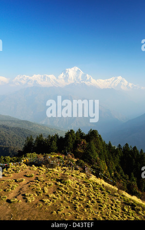 Dhaulagiri Himal Aussicht vom Poon Hill, Pashchimanchal, Nepal, Dhaulagiri, Annapurna Conservation Area, Mustang District Stockfoto