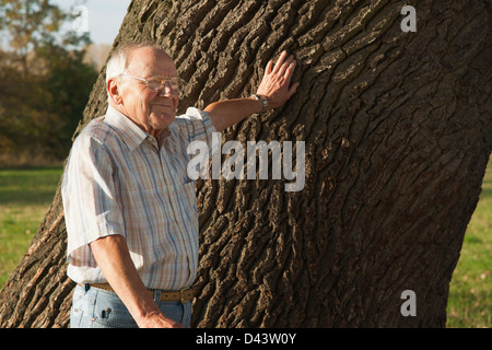 Mann, der vom Baum, Lampertheim, Hessen, Deutschland Stockfoto