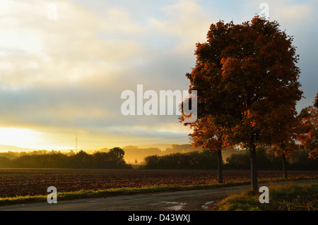 Ländliche Herbst-Szene, in der Nähe von Villingen Schwarzwald Schwarzwald-Baar, Baden-Württemberg, Deutschland Stockfoto