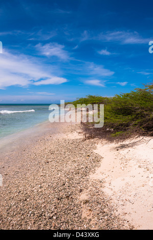 Malerische Küste, Arashi Beach, Aruba, kleine Antillen, Karibik Stockfoto