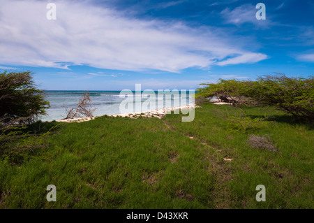 Malerische Küste, Arashi Beach, Aruba, kleine Antillen, Karibik Stockfoto