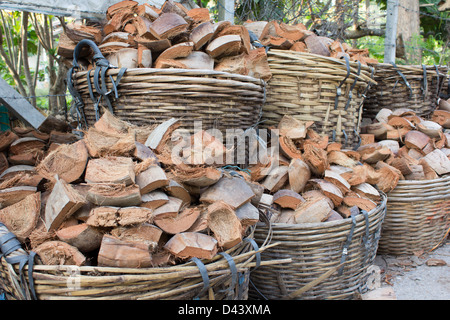 viele Kokos für Recycling, natürlicher Dünger Stockfoto